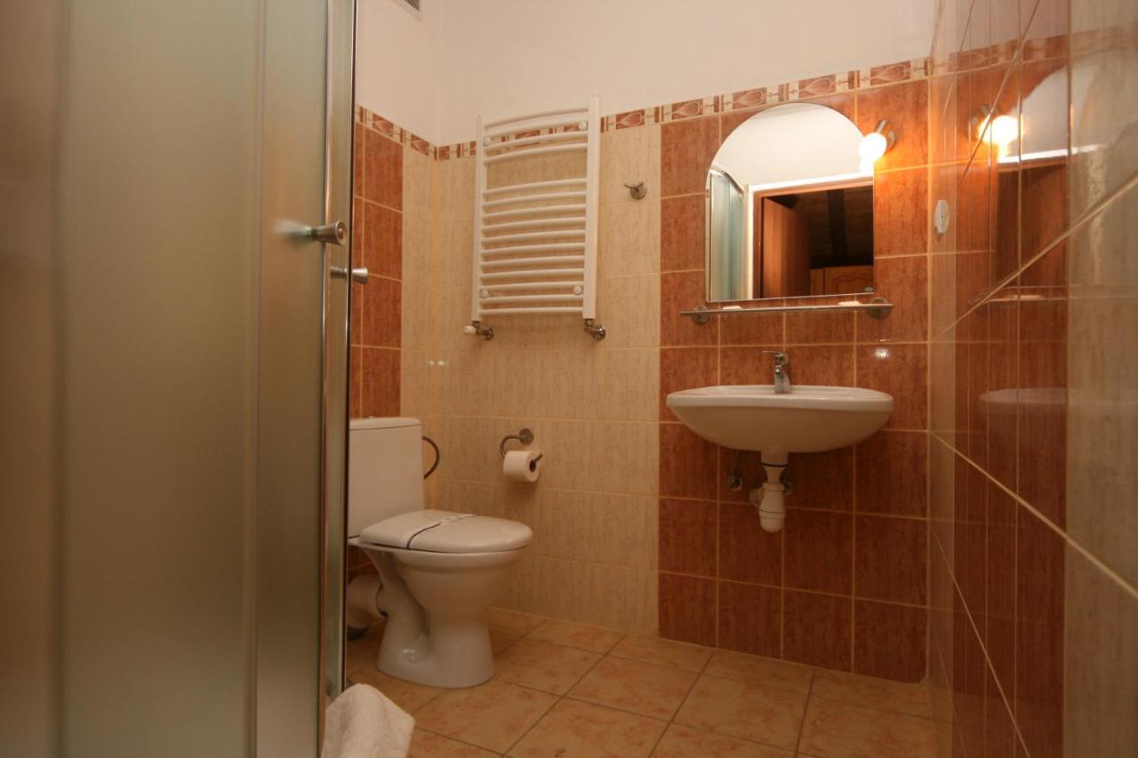 Alpenhof Pansion Hotel Slavske Room photo