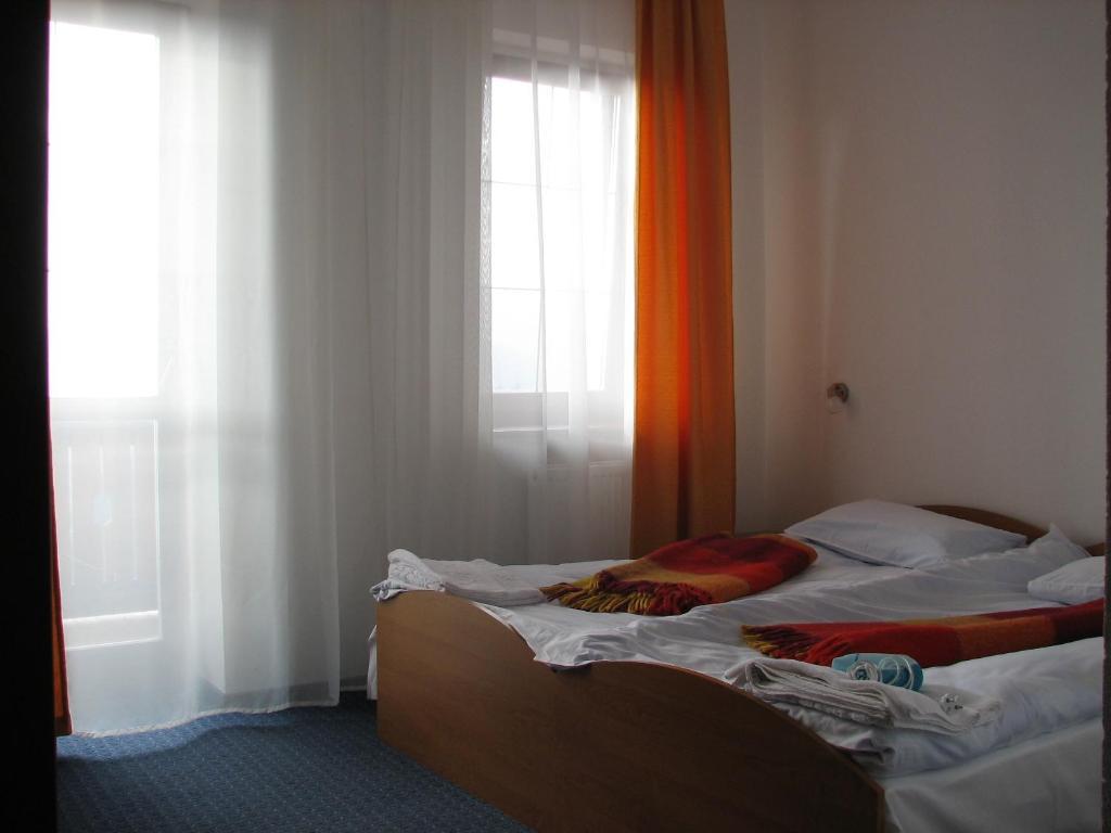 Alpenhof Pansion Hotel Slavske Room photo