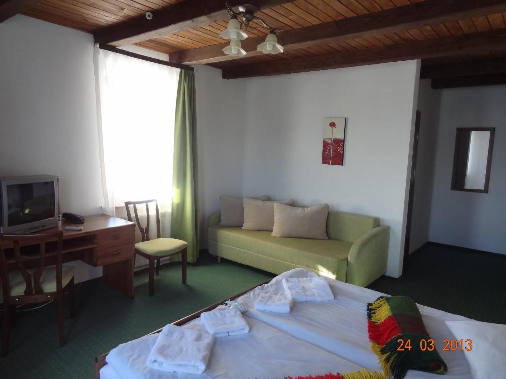 Alpenhof Pansion Hotel Slavske Room photo