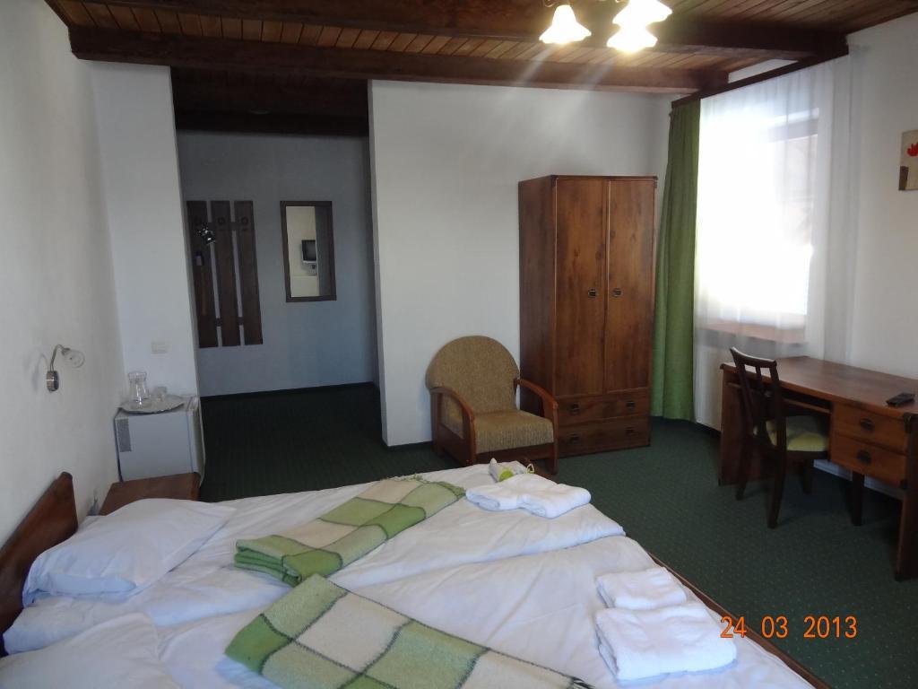 Alpenhof Pansion Hotel Slavske Room photo