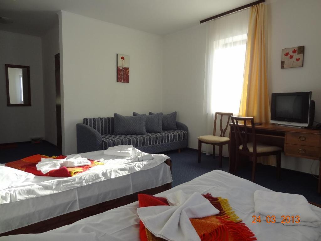 Alpenhof Pansion Hotel Slavske Room photo