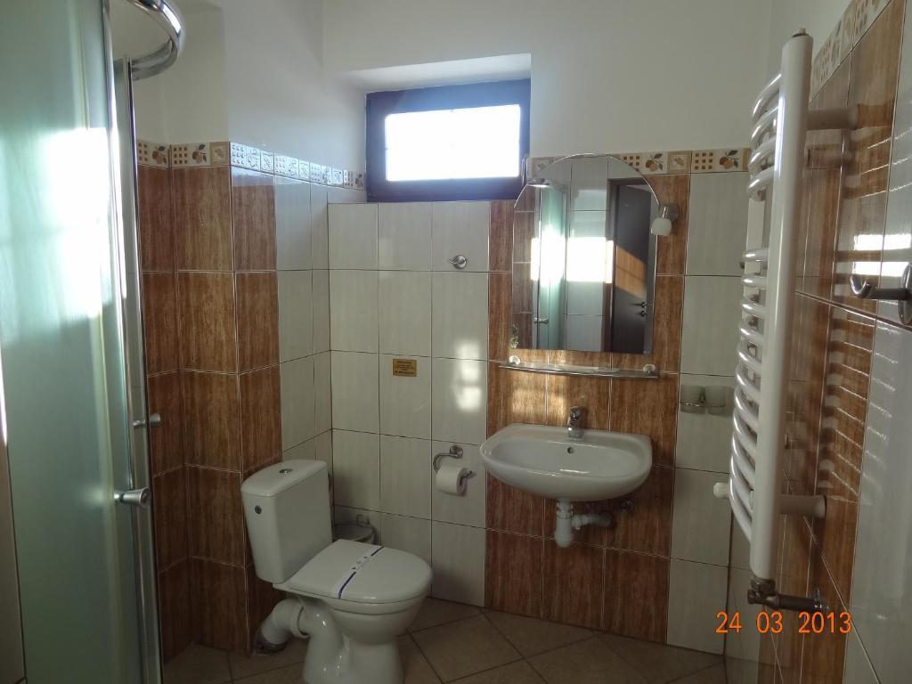 Alpenhof Pansion Hotel Slavske Room photo