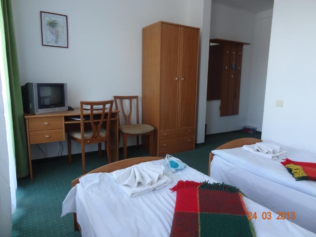 Alpenhof Pansion Hotel Slavske Room photo
